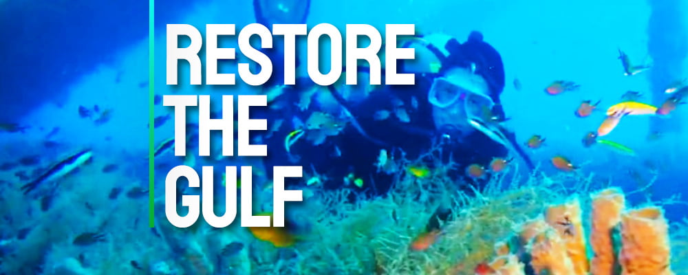 Texas A&M-Corpus Christi