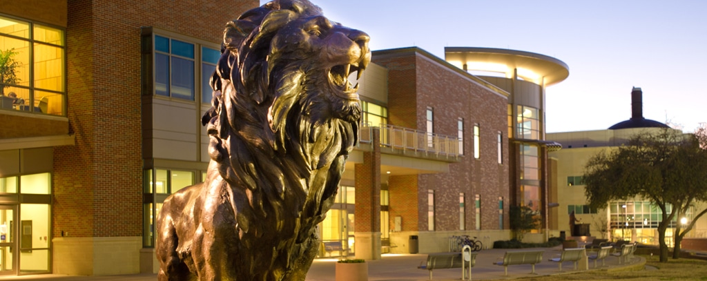 East Texas A&M University – Awareness Campaign